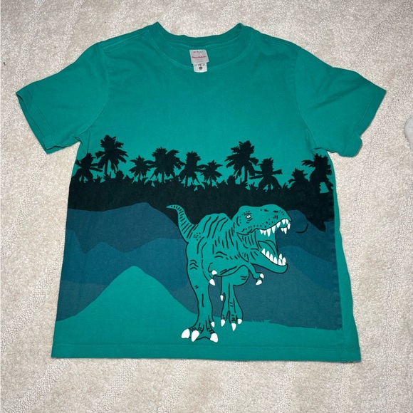Hanna Andersson Other - Hanna Andersson Boys Dinosaur T-Rex Graphic T-shirt Green Size 10
